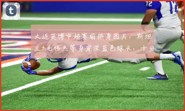 大连英博中超赛前热身图片，斯坦丘+毛伟杰等身穿深蓝色球衣，十分亮眼_训练_马莱莱_罗马
