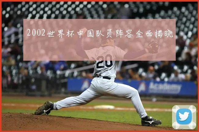 2002世界杯中国队员阵容全面揭晓
